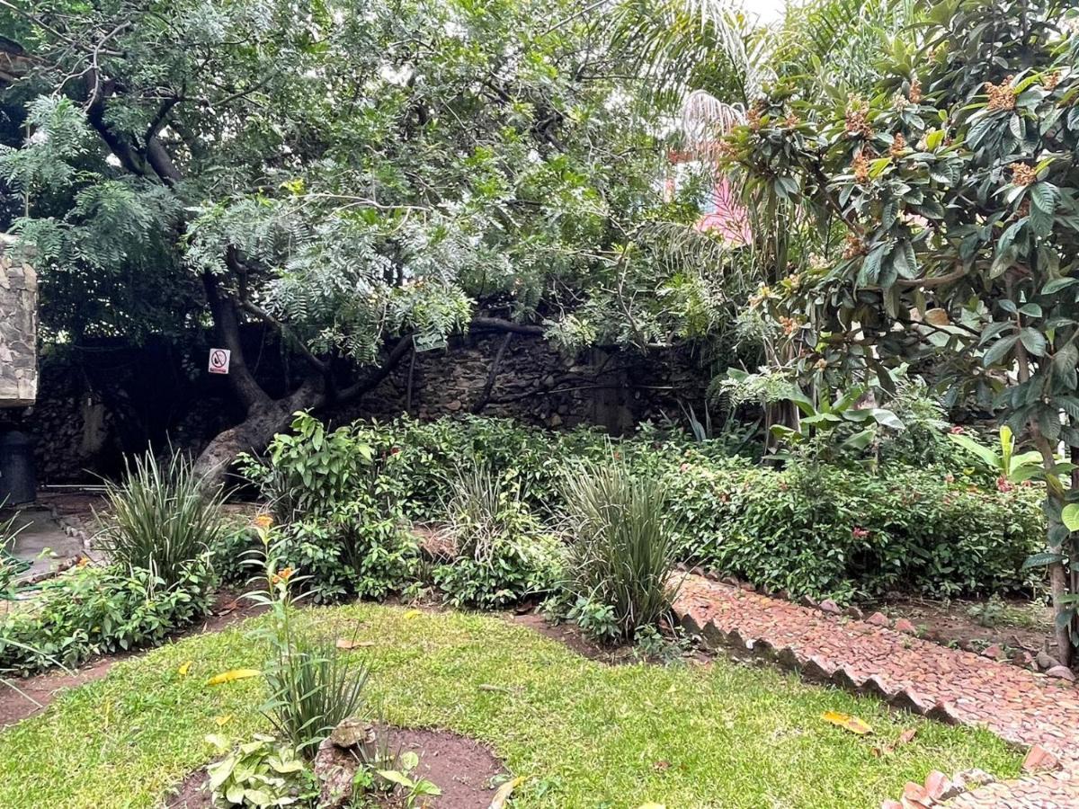 La Casa De Los Mangos Ajijic San Antonio Tlayacapan Екстер'єр фото